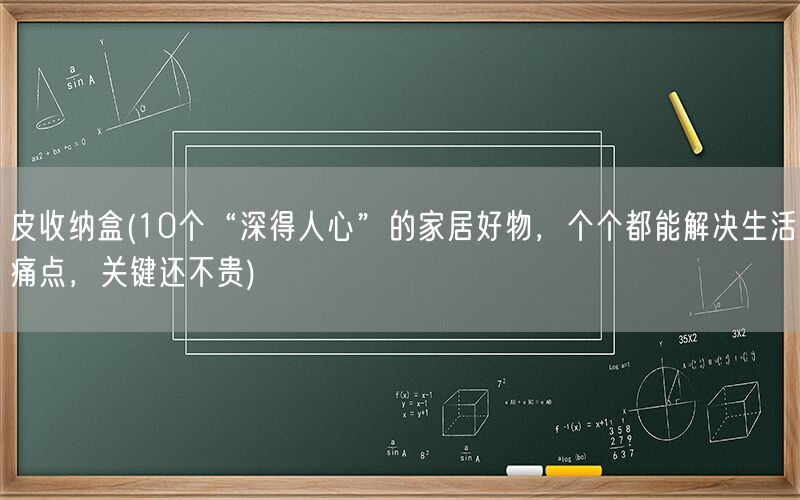 皮收纳盒(10个“深得人心”的家居好物，个个都能解决生活痛点，关键还不贵)(图1)