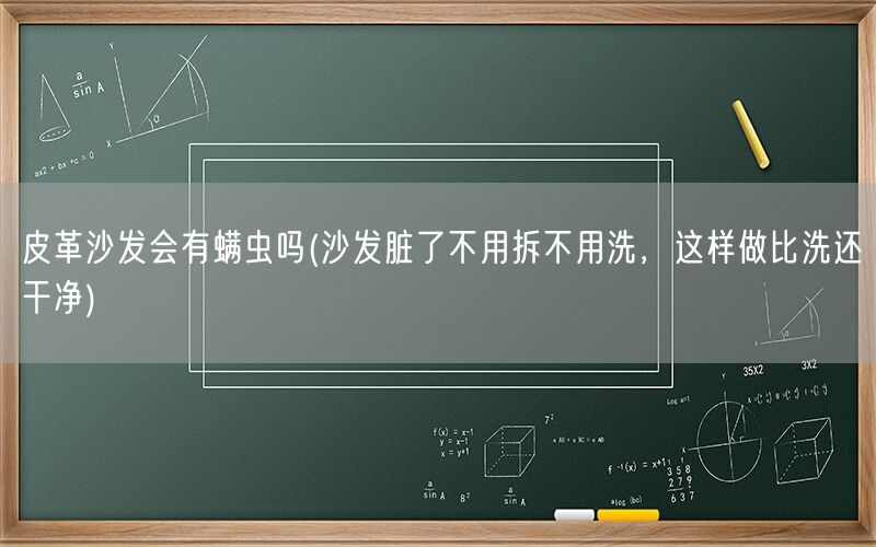 皮革沙发会有螨虫吗(沙发脏了不用拆不用洗，这样做比洗还干净)(图1)