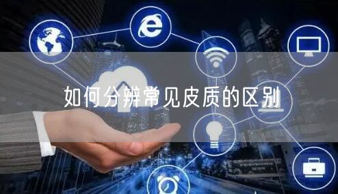 如何分辨常见皮质的区别